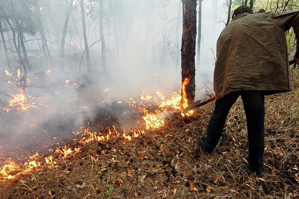 Пожароопасный сезон в столичном регионе могут объявить раньше