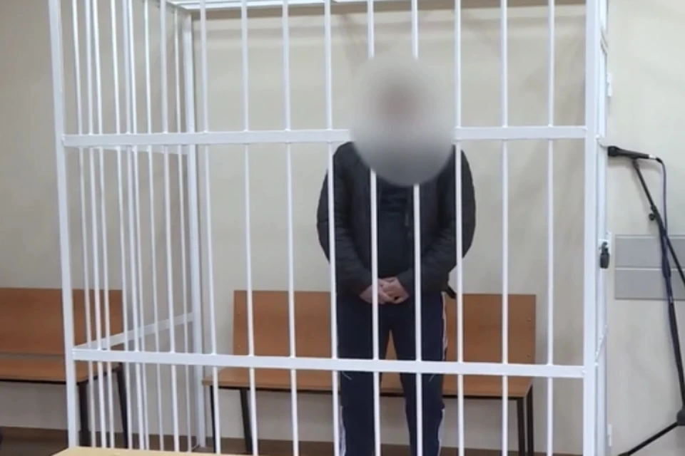 Мужчина полностью признал свою вину и с обвинением согласился