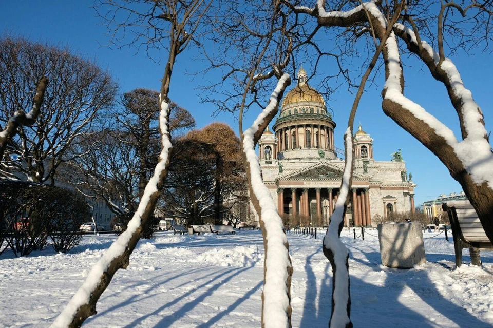 В ночь на 6 февраля Петербург замело снегом