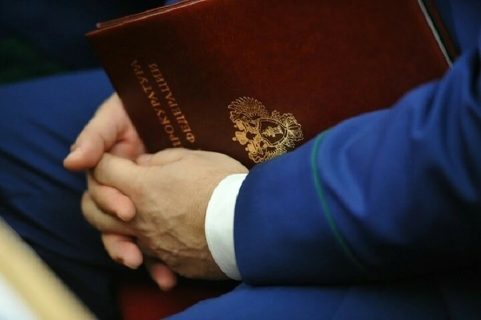 На Кубани гендиректора предприятия осудили за уничтожение лесного фонда