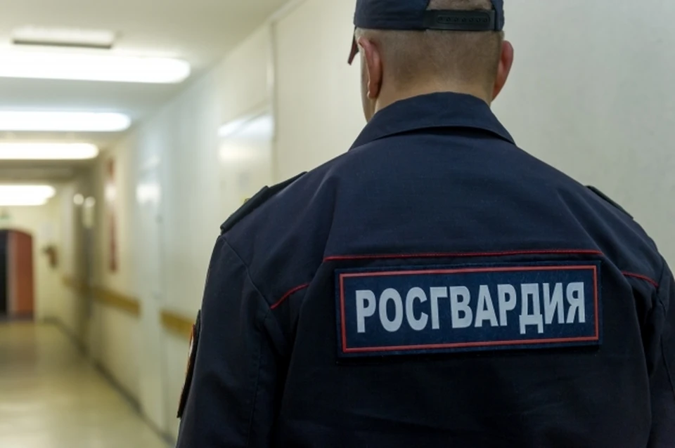 В Биробиджане правоохранители остановили пьяного прохожего с применением силы