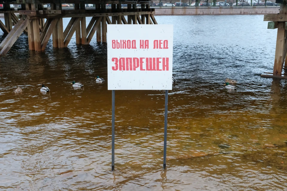 В нынешнем году и льда фактически нет, но многие, едва он появится, тут же испытывают судьбу на прочность.