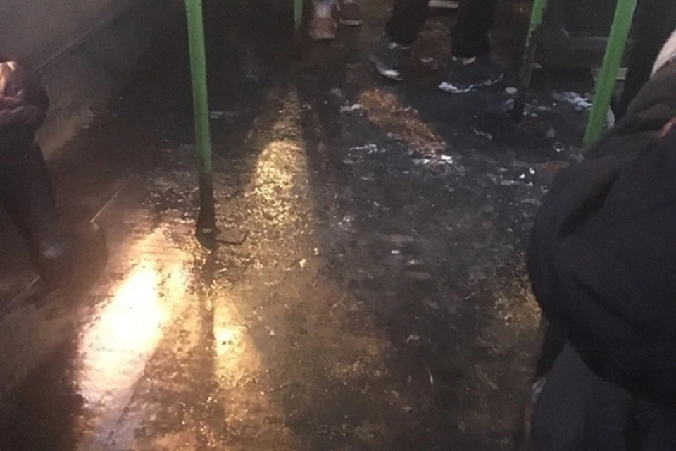 Пассажиры транспорта при входе скользят и падают. Фото: "Жесть Ярославль"\vk.cm.