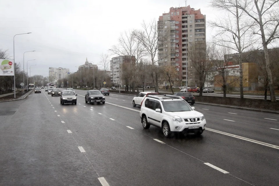 Деревья на проспекте срубят