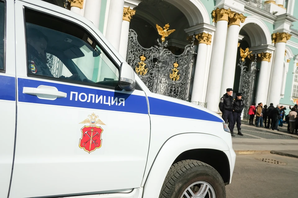 В полиции подвели статистику по уличным преступлениям в Петербурге.