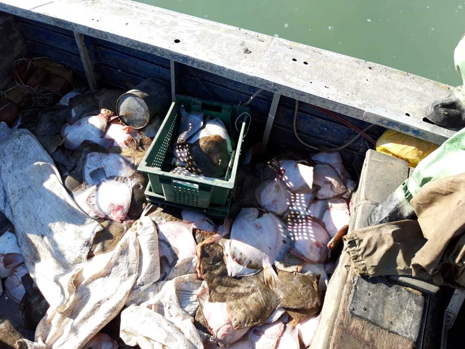 Четыре украинца ловили рыбу в Азовском море без каких-либо документов. Фото: Пресс-служба погрануправления ФСБ по Крыму и Севастополю