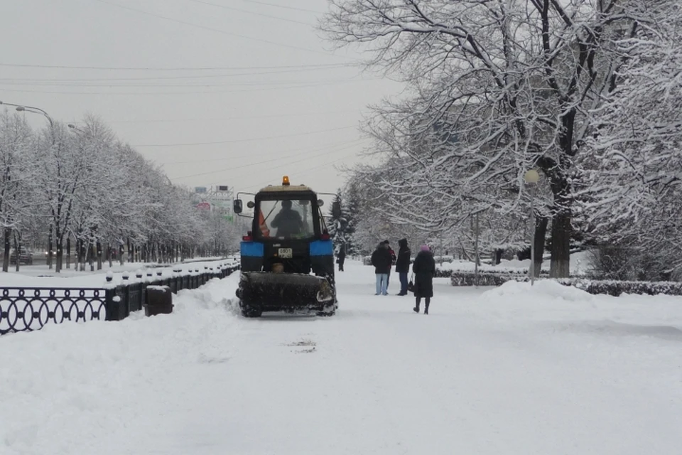 В Гидрометцентре назвали причину аномально теплой зимы в Кузбассе
