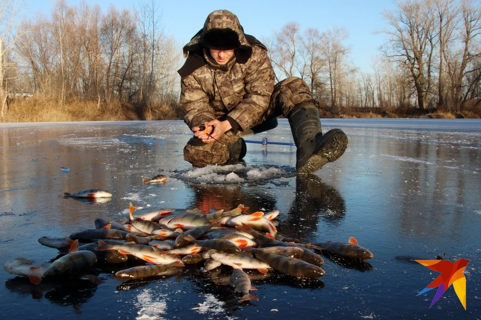 Жадность чуть не сгубила: в Рязанской области рыбак провалился под лед.