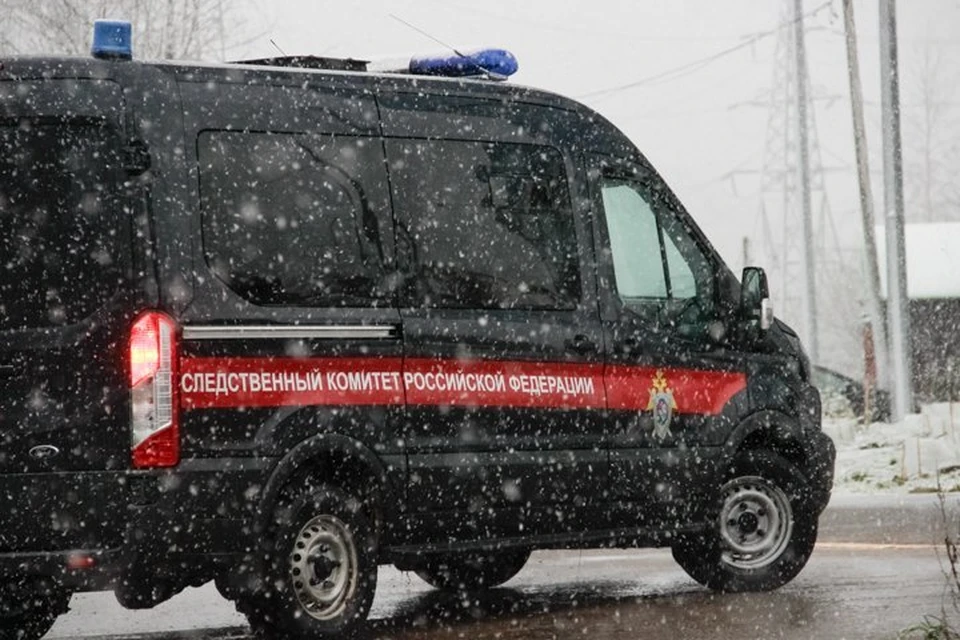 В результате девочка получила тяжелые травмы, ее бабушка - множественные ушибы.