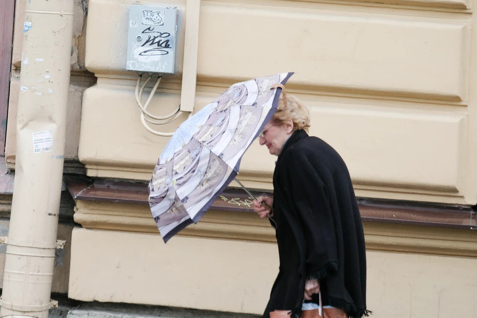 22 февраля в Петербурге будет дождливо и ветрено.