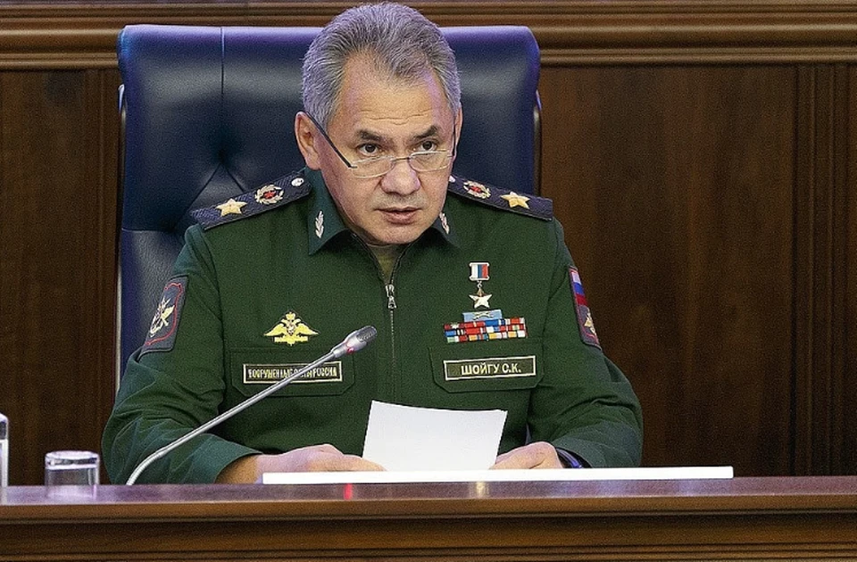 Шойгу обсудил с главой Минобороны Турции ситуацию в Идлибе