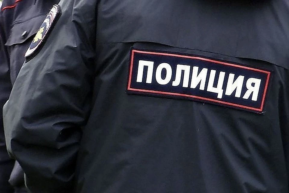 Подозреваемых в серии краж задержали полицейские в Тверской области Фото: архив "КП"