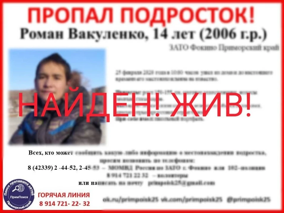 Мальчика искали с 25 февраля. Фото: Примпоиск.