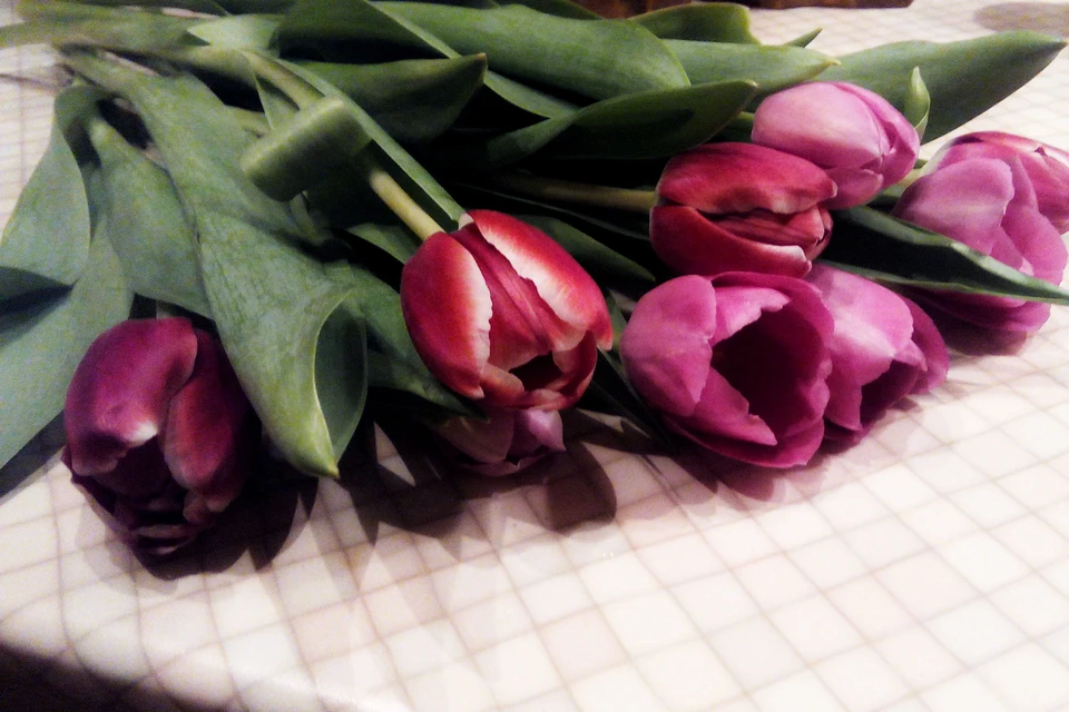 К 8 марта в Липецке будут продавать фиолетовые тюльпаны