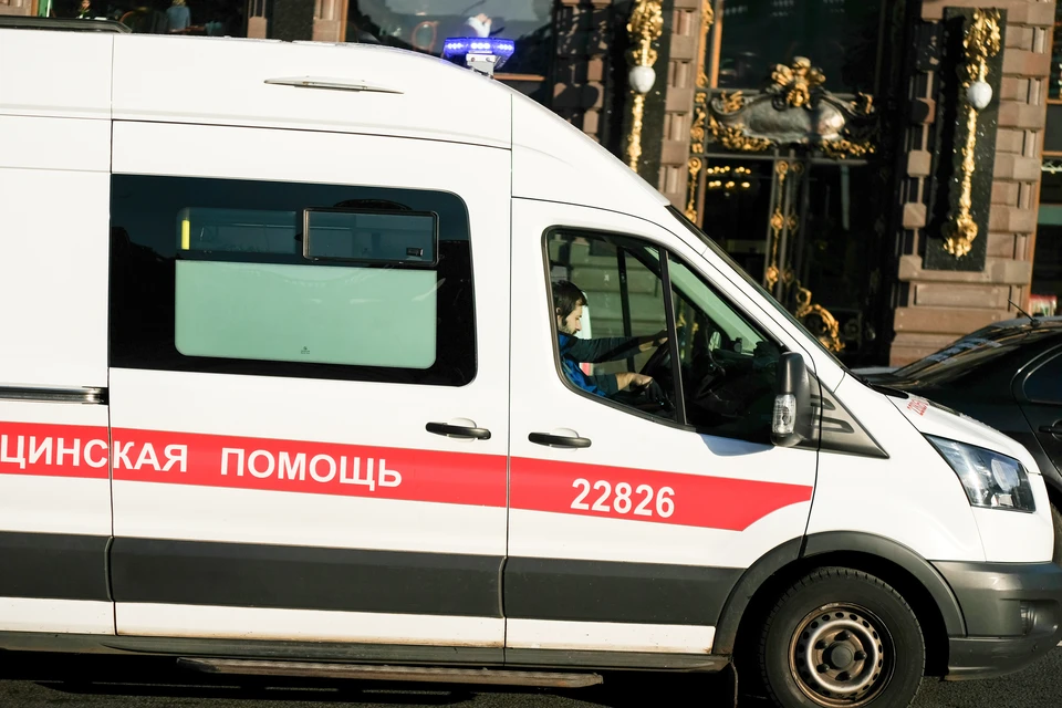 Труп неизвестного нашел мужчина за даче Безобразовых в Петербурге