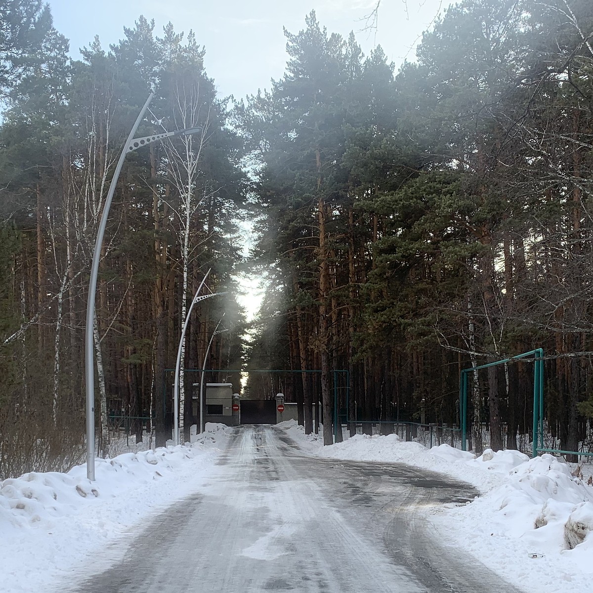 Пострадает ли городской бор в Челябинске из-за ремонта «обкомовских дач» -  KP.RU