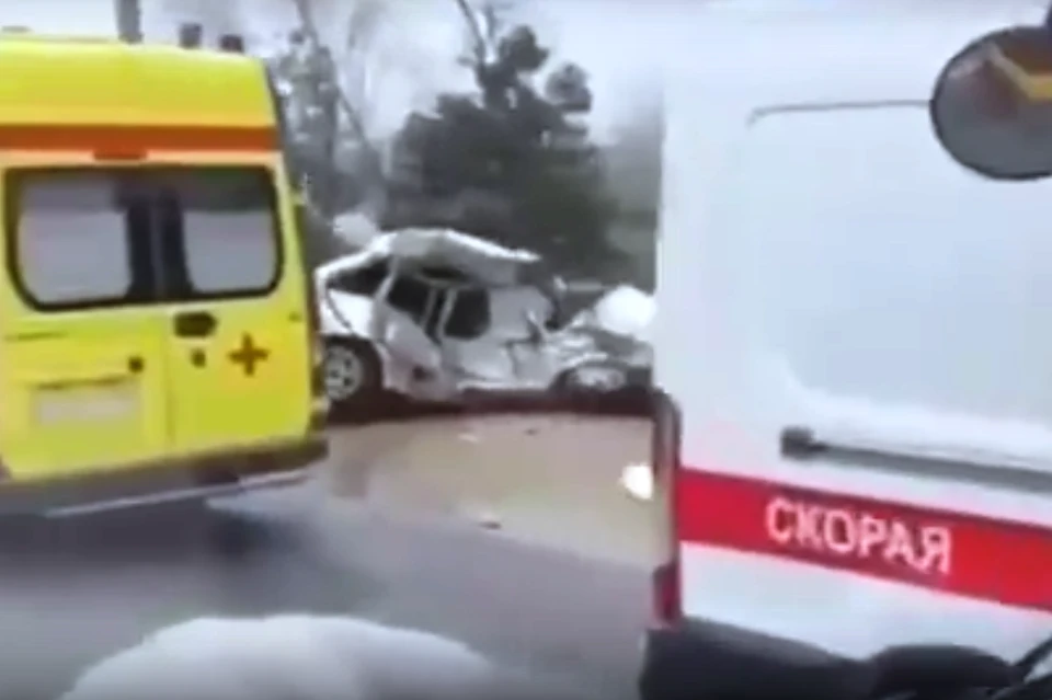 Фото: кадр из видео