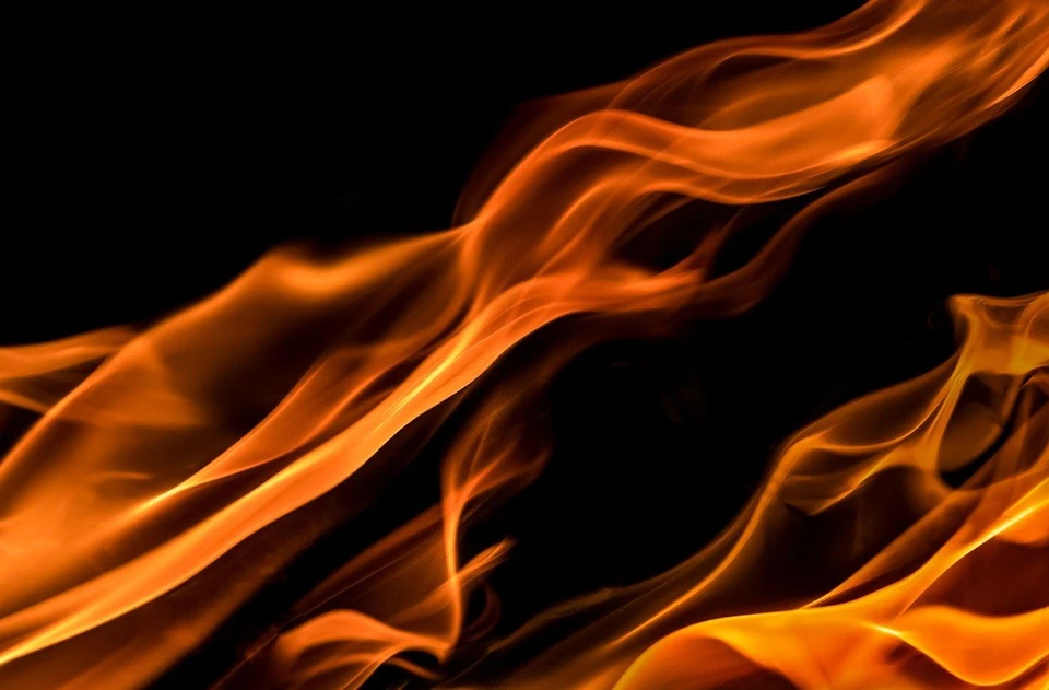 Инспекторы ДПС вынесли из пламени женщину и ребенка. Фото: pixabay
