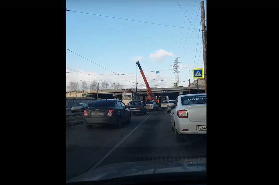 Фото: Аргументы и Факты в Челябинске/vk.com