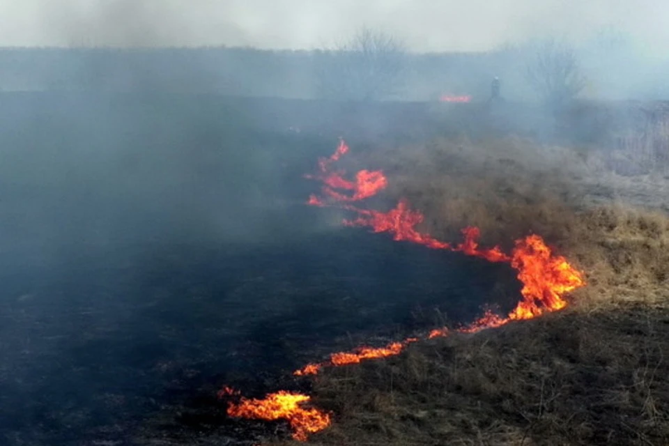 Каждый день пожарные ЛНР тушат десятки возгораний сухой травы. фото МЧС ЛНР