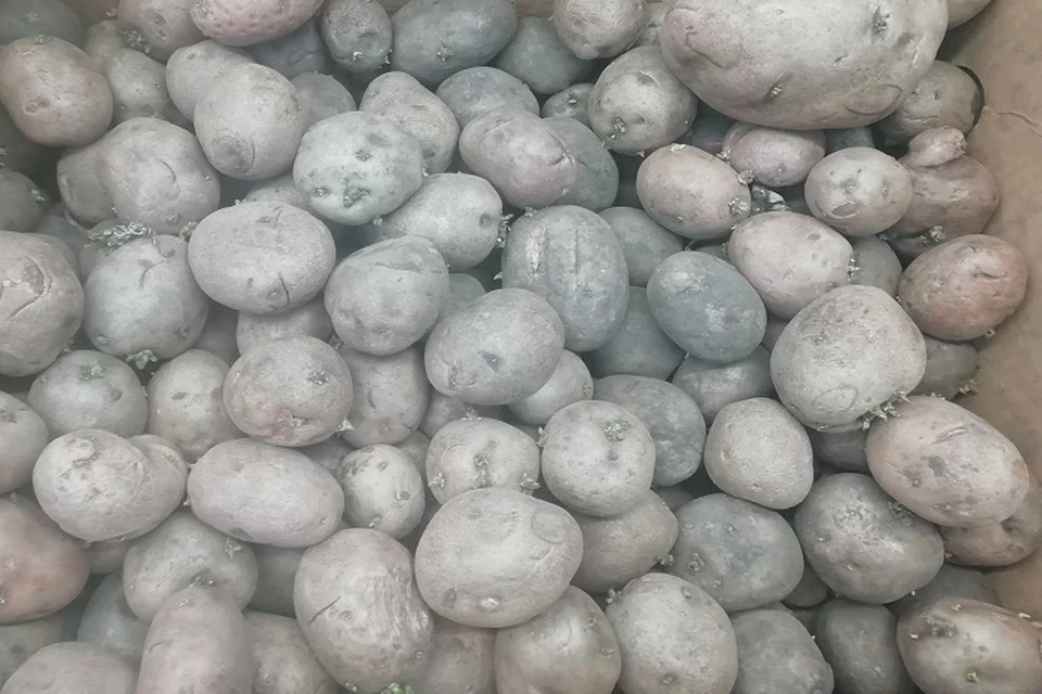 Сургутянам за кражу продуктов грозит до 10 лет тюрьмы. Фото: Савинов Руслан.