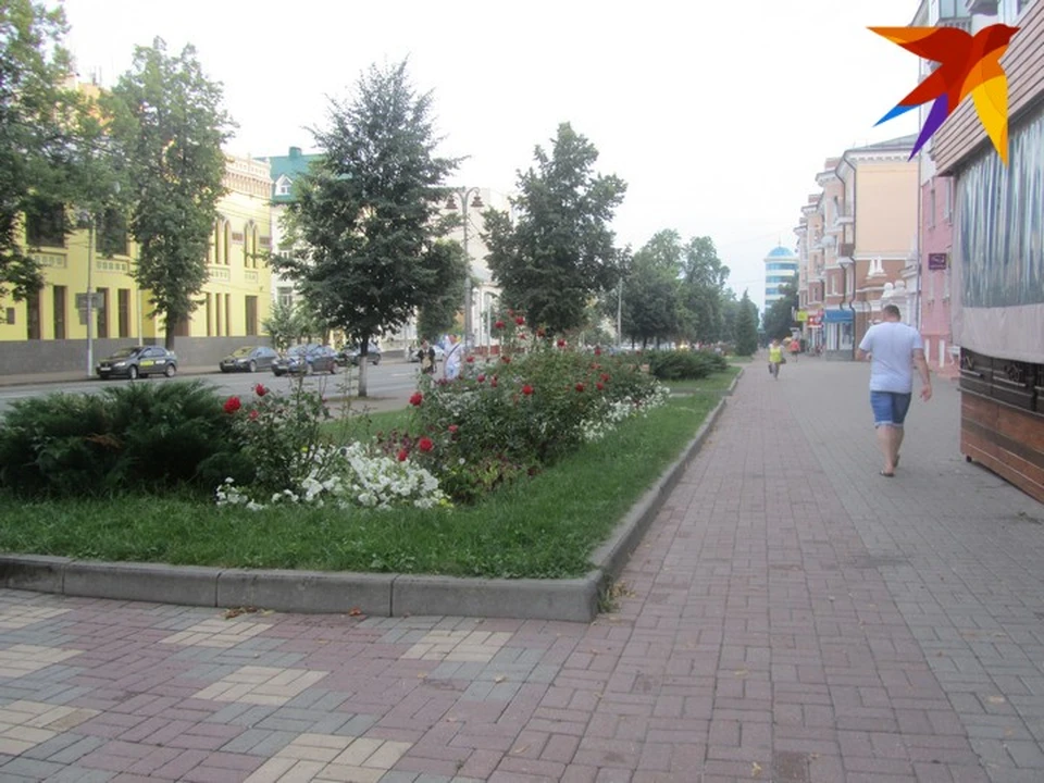 В Курске установлено 383 контейнера для пластика и бумаги