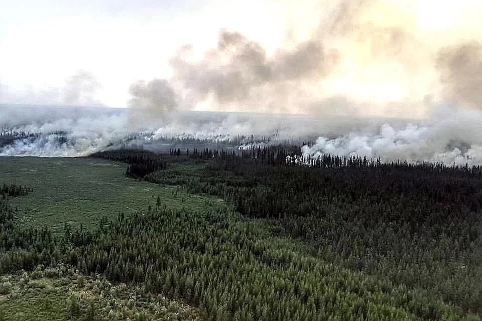 Горящая тайга в республике Саха (Якутия), август 2019 г