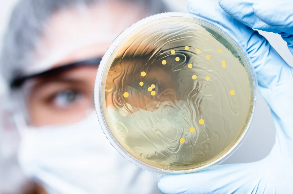 Сейчас ученые испытывают микробы и на других сортах пластика, в частности — на полиэтилентерефтате. Фото: shutterstock.com
