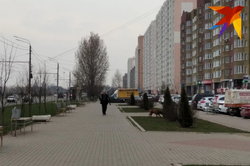 Доходы многих курян упали в условиях самоизоляции