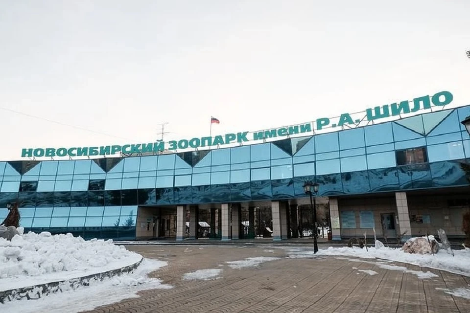 Мэр одобрил идею поставить в зоопарках веб-камеры, чтобы люди смотрели на зверей онлайн.