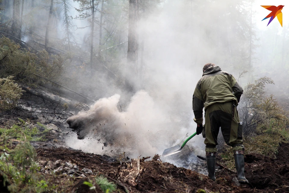 В 17 районах Рязанской области ввели особый противопожарный режим