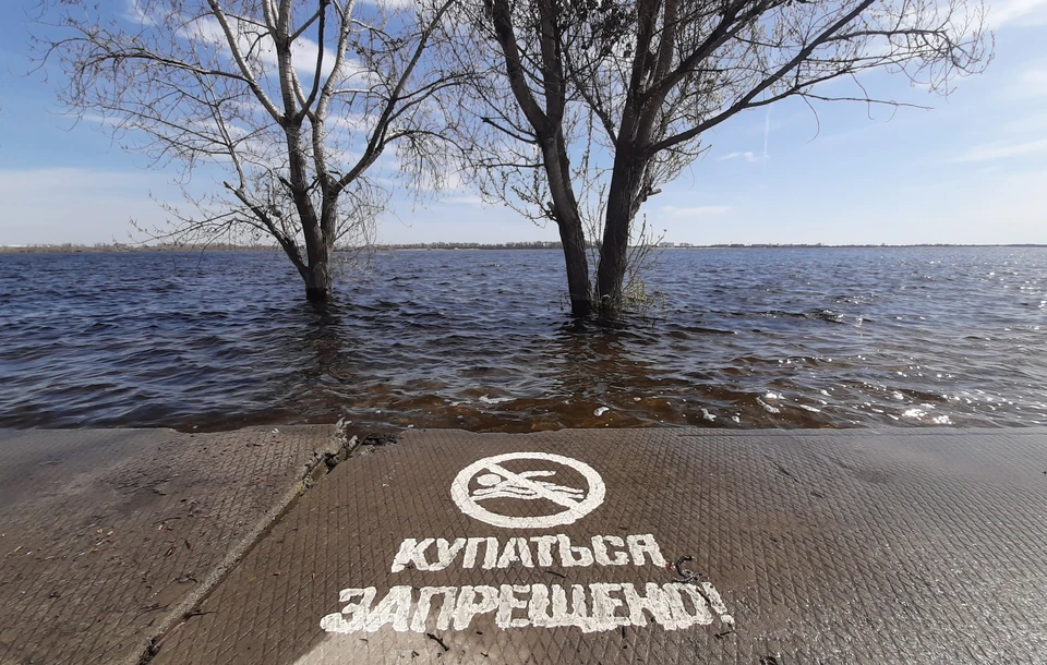 Волга давно не разливалась так широко.