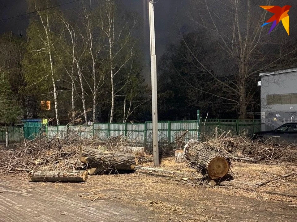 Угол улицы Советская завален бревнами от спиленных деревьев