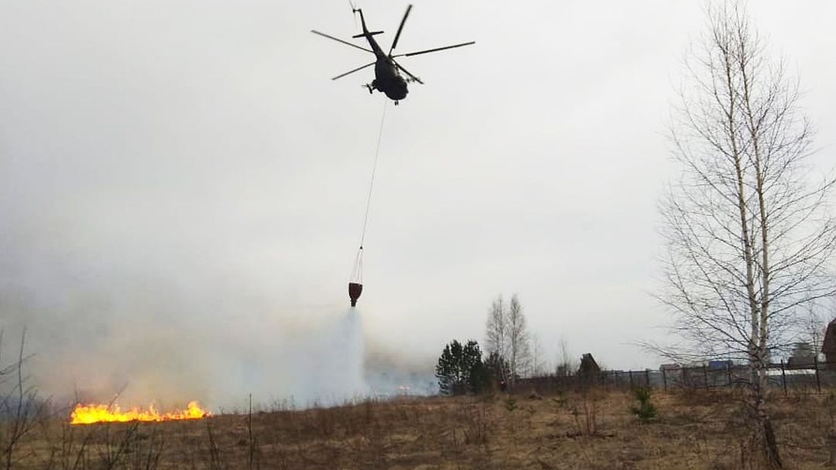 Вышла из дома - сразу пламя в лицо»: пожары в Новосибирской области  уничтожили дома, леса и сельский медпункт - KP.RU