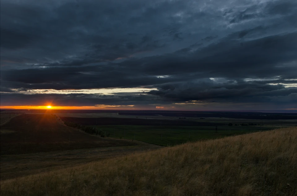 Ресторан «Столик на одного» будет представлять собой стол на одного человека посреди поля в провинции Вэрмланд.