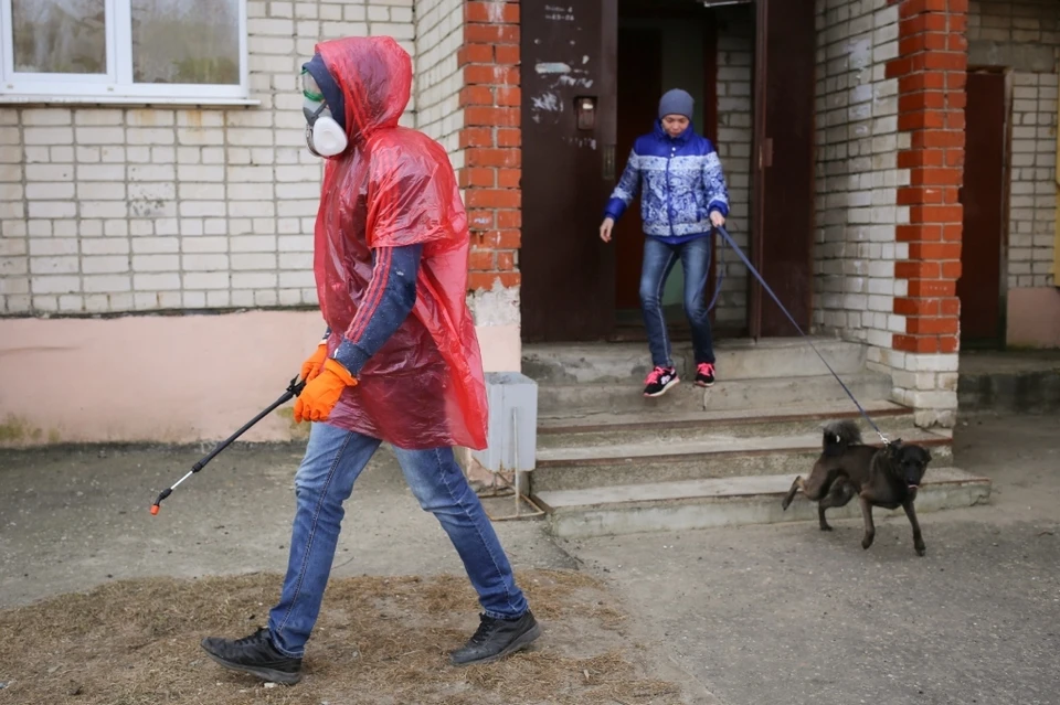Режим всеобщей самоизоляции решили продлить.