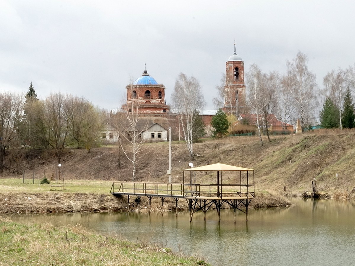 География коронавируса, 15 мая 2020 года: где в Рязанской области выявили  случаи заражения - KP.RU