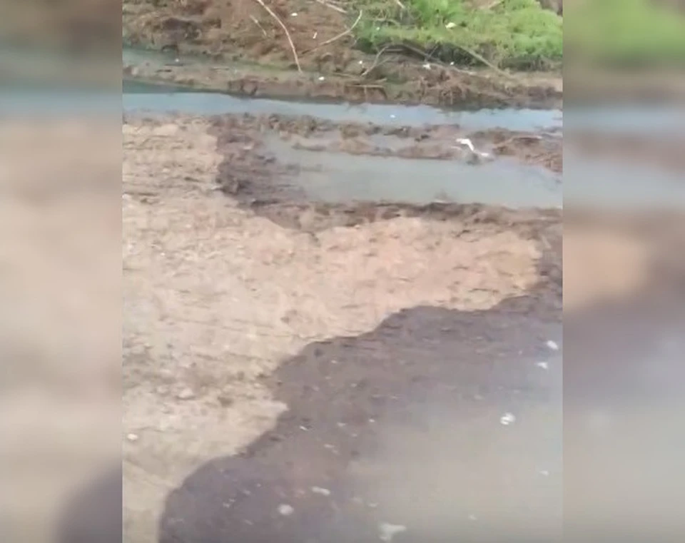Стоп-кадр из видео