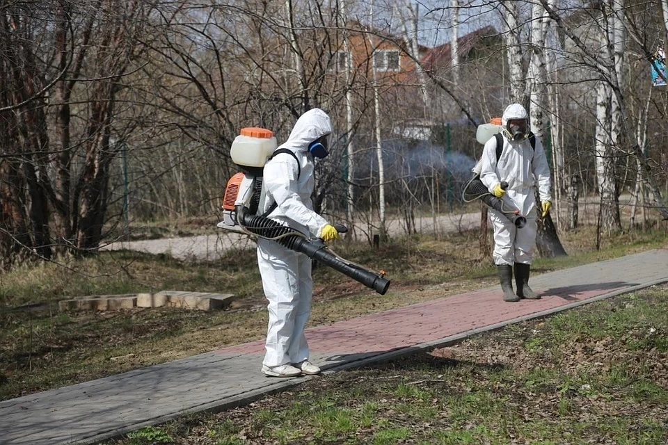 Берегитесь клещей