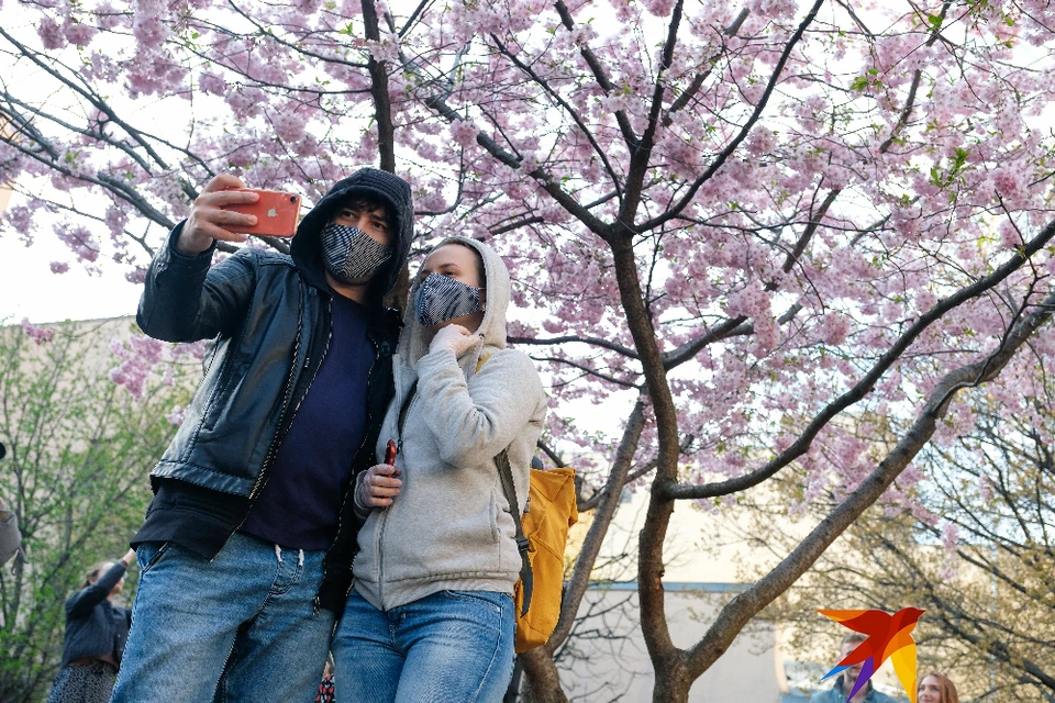 Коронавирус в Рязани и области, последние новости на 18 мая: 2300 человек заразились, 94 - на подтверждении.