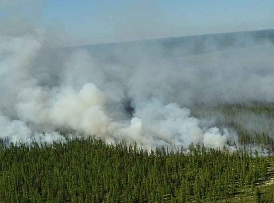 На Ямале тушат крупный лесной пожар Фото: 89.mchs.gov.ru