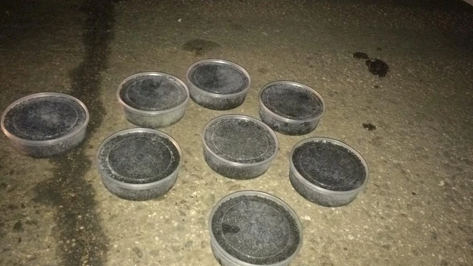 Общий объем изъятый икры составил 4 килограмма. Фото: пресс-служба Пограничного управления ФСБ России по Республике Крым.