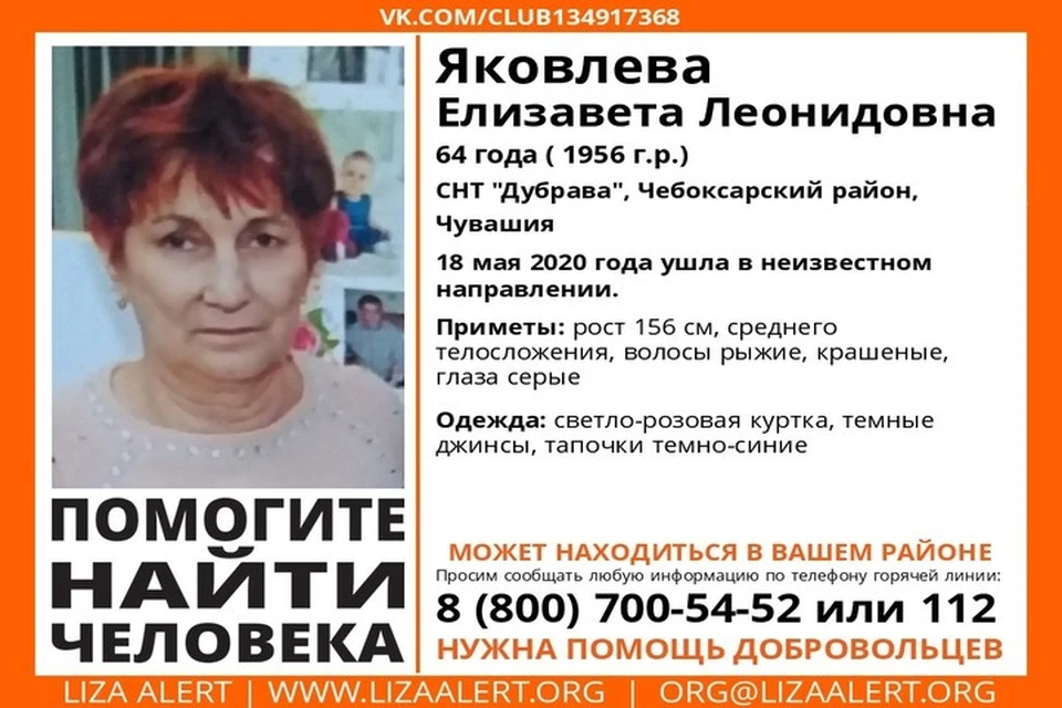 Фото: ПСО "Лиза Алерт"