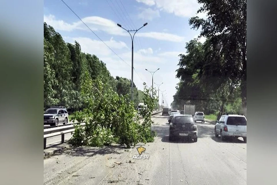 Ветка от дерева перегородила полосу. Фото: Новосибирская служба эвакуации «АСТ-54».