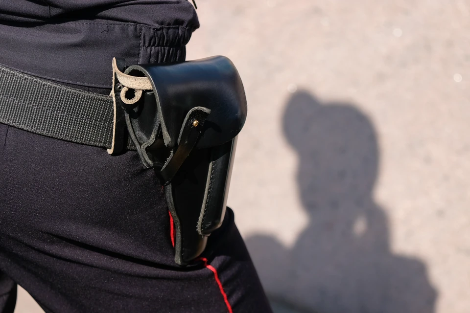 Полиция в Ленобласти со стрельбой задержала двух мужчин, подозреваемых в мошенничестве