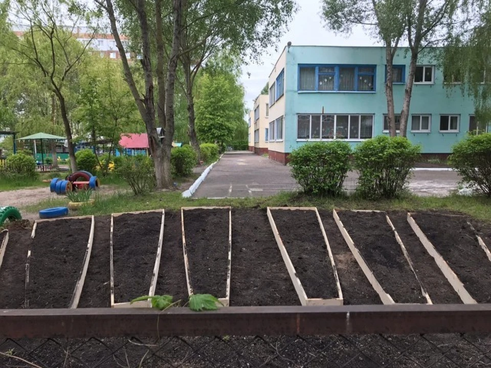 Брянск сад. Клумбы в Брянске в Володарке.