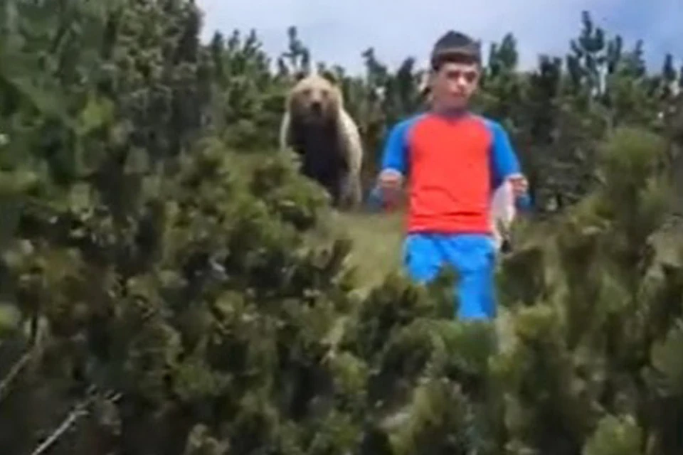 Юный Алессандро продемонстрировал изрядную выдержку во время нежданной встречи с медведем.