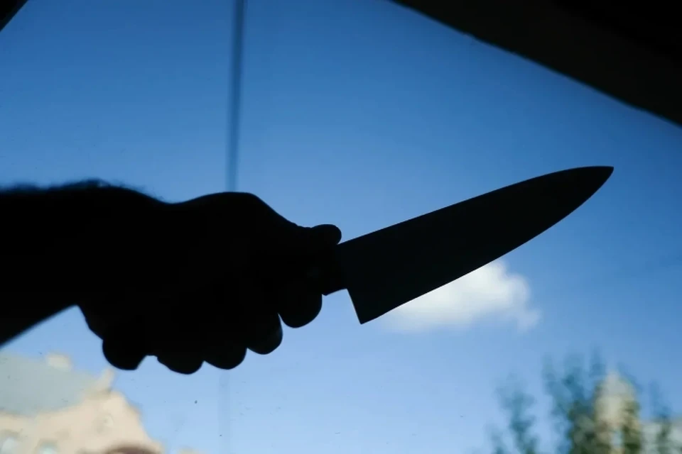 Во Всеволожском районе Ленобласти задержали молодого человека, который угрожал полицейскому ножом.