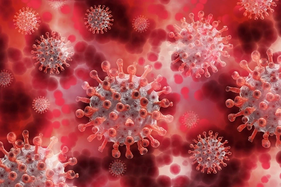 Число заболевших коронавирусом в ХМАО на 31 мая 2020 года составило 2436 человек