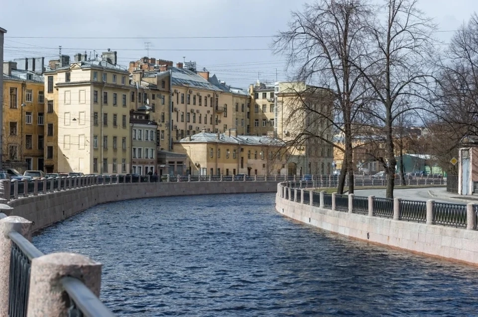 Экологи рассказали о проделанной работе за май в Санкт-Петербурге.